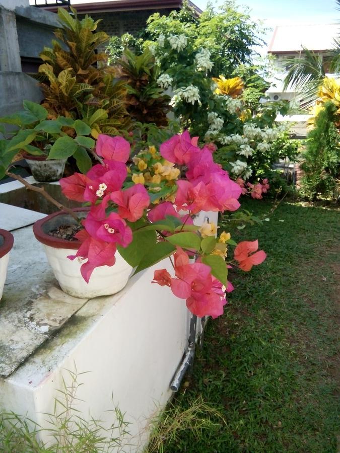 Bentota Orchid House Bed & Breakfast ภายนอก รูปภาพ