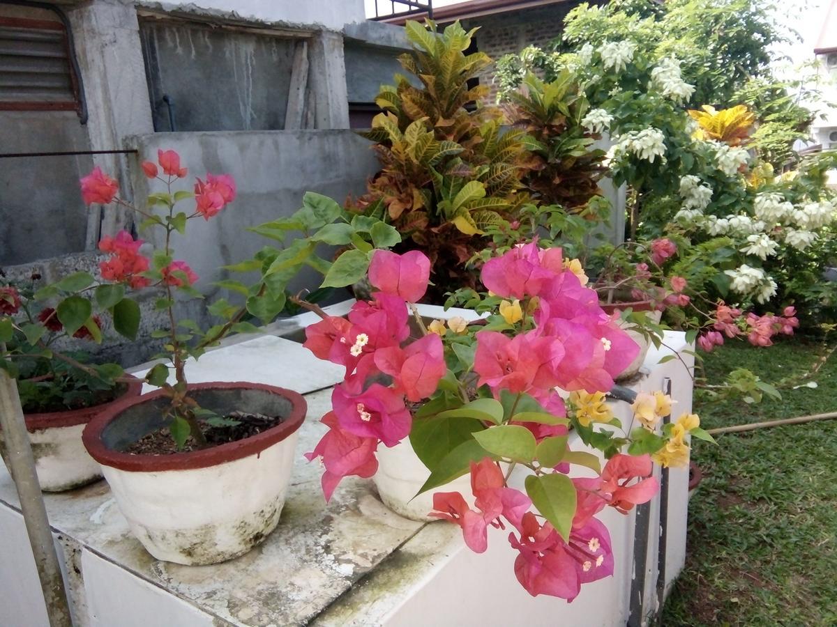 Bentota Orchid House Bed & Breakfast ภายนอก รูปภาพ