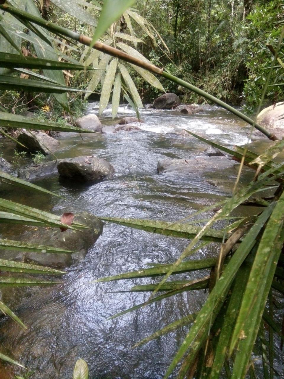 Bentota Orchid House Bed & Breakfast ภายนอก รูปภาพ